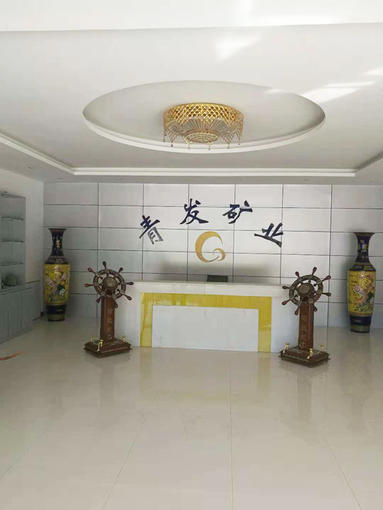 洛陽青發(fā)礦業(yè)公司執(zhí)行案司法評(píng)估